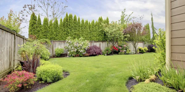 landscaping